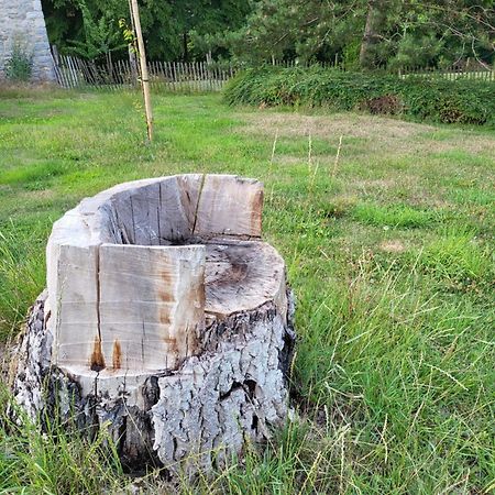 A La Salle De Jeux Et Son Jardin Autour De La Cabane Verte Динан Экстерьер фото